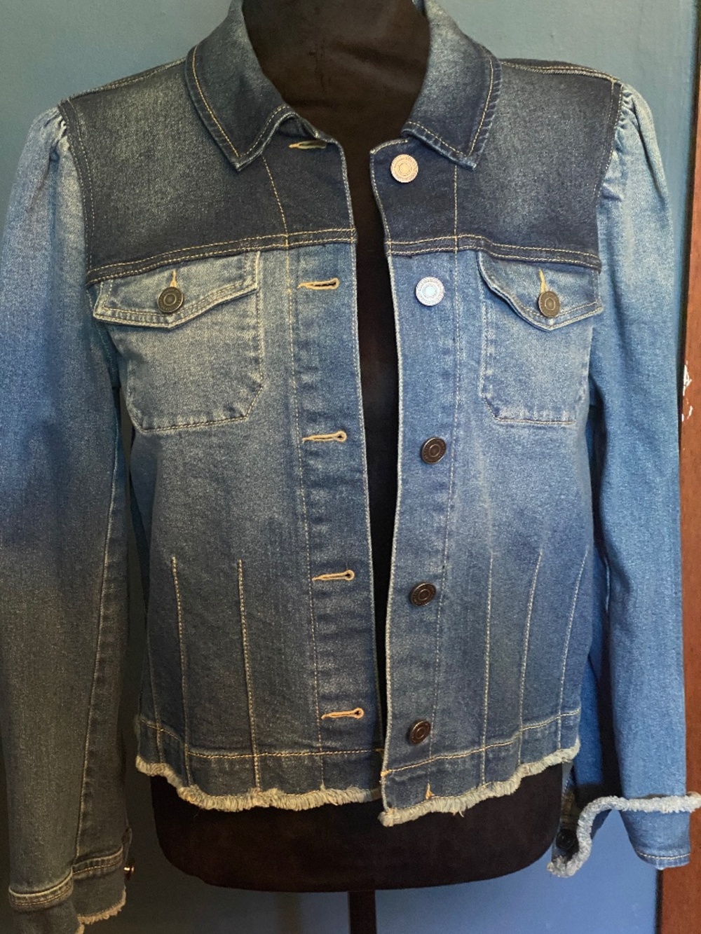 NWT Rebecca Taylor Denim Jacket